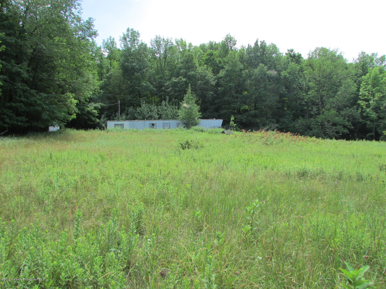 Ebbs Corner Road Hallstead, PA 18822 - Photo 8 of 10 Open area