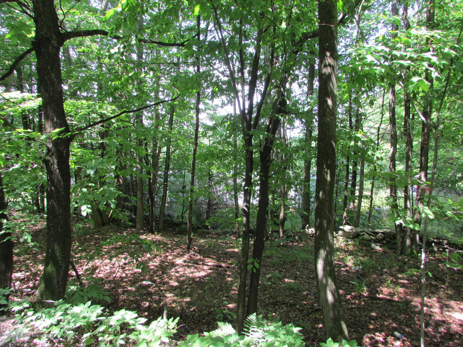 Ebbs Corner Road Hallstead, PA 18822 - Photo 9 of 10 From road looking in