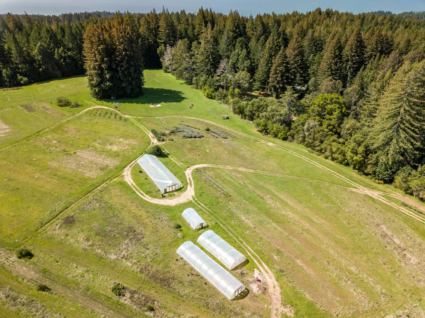 501 Robson Road Santa Cruz, CA 95060 - Photo 11 of 13 Gallery Image 11