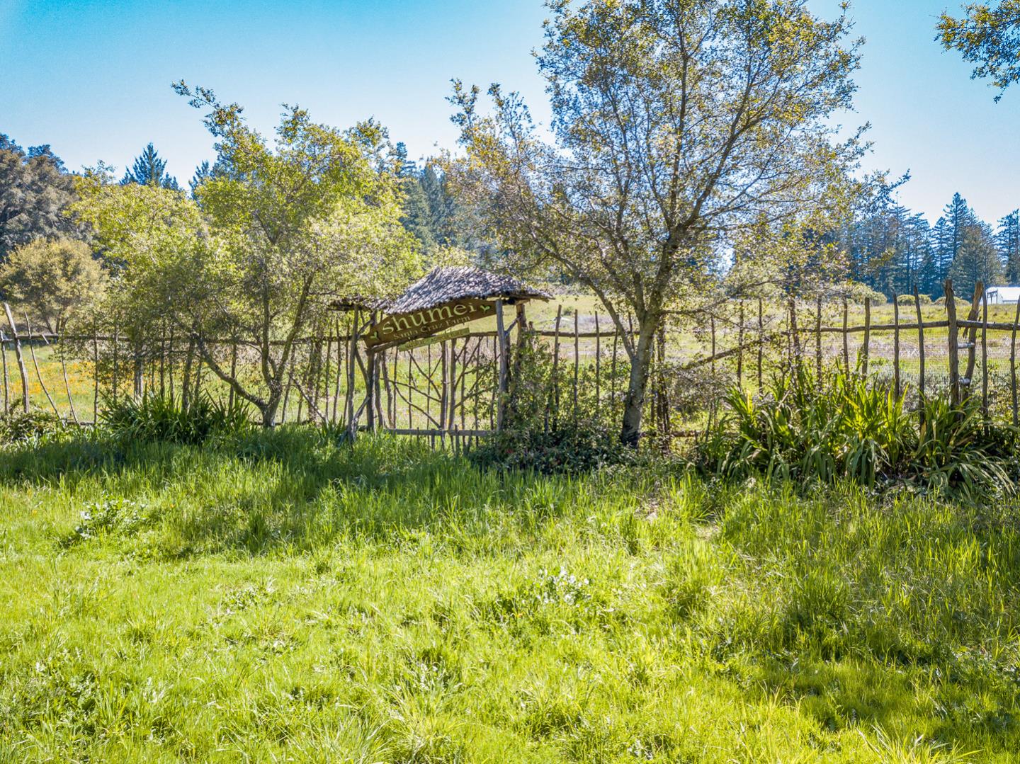501 Robson Road Santa Cruz, CA 95060 - Photo 12 of 13 Gallery Image 12