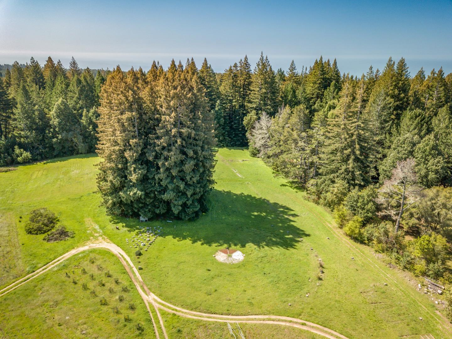 501 Robson Road Santa Cruz, CA 95060 - Photo 7 of 13 Gallery Image 7