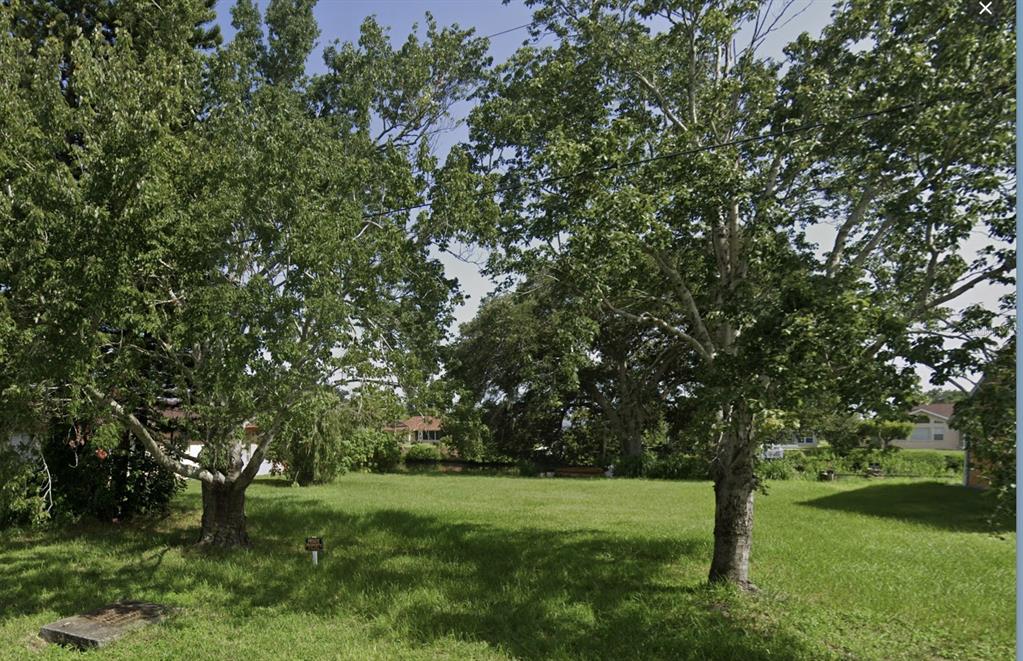 a view of a trees with a yard