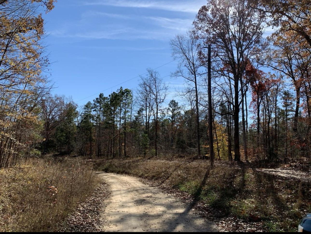 a view of backyard with green space