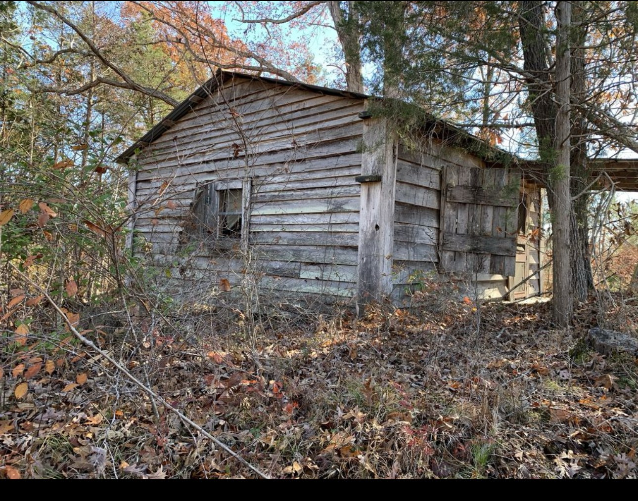 0 Kelly Road Medon, TN 38356 - Photo 7 of 14 a backyard of a house
