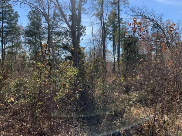 a view of a field with a tree in it