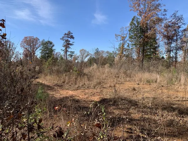 a view of a dry yard with lots of bushes
