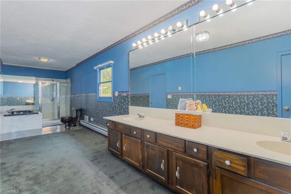 1113 Ring Road Westfield, NC 27053 - Photo 23 of 43 Master Bathroom