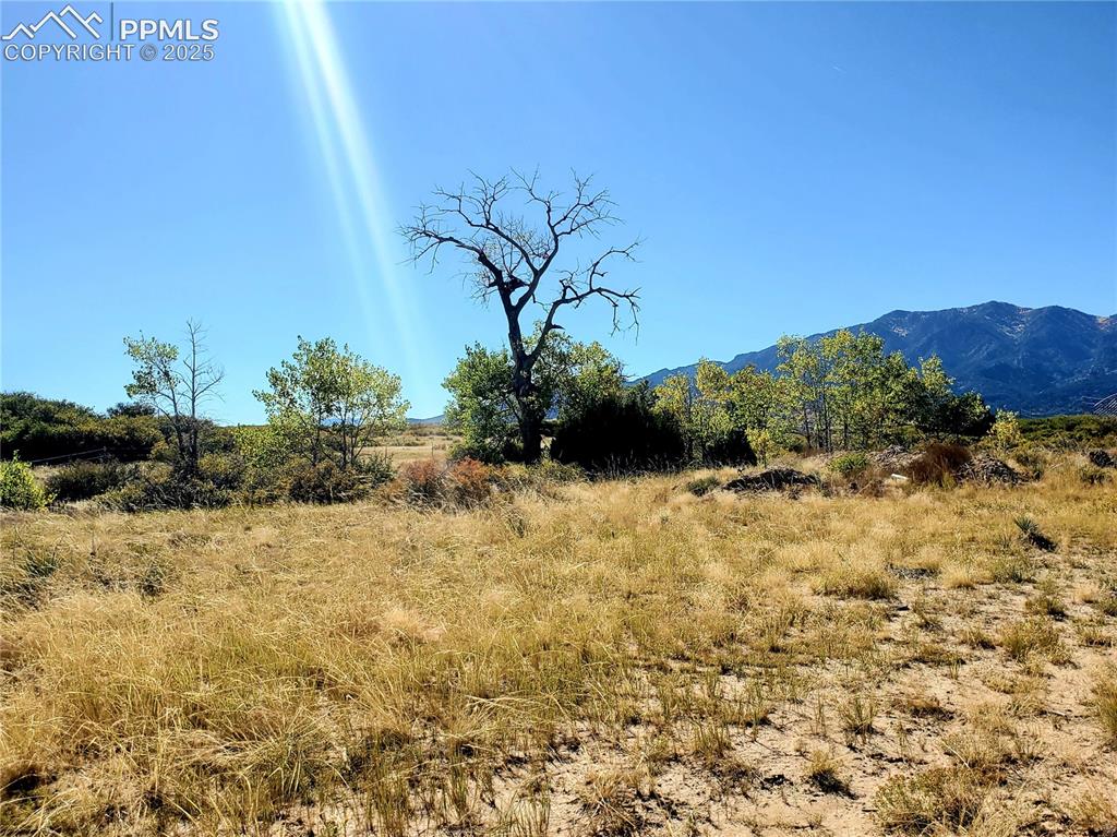 650 County Road Rye, CO 81069 - Photo 12 of 27 a view of a garden