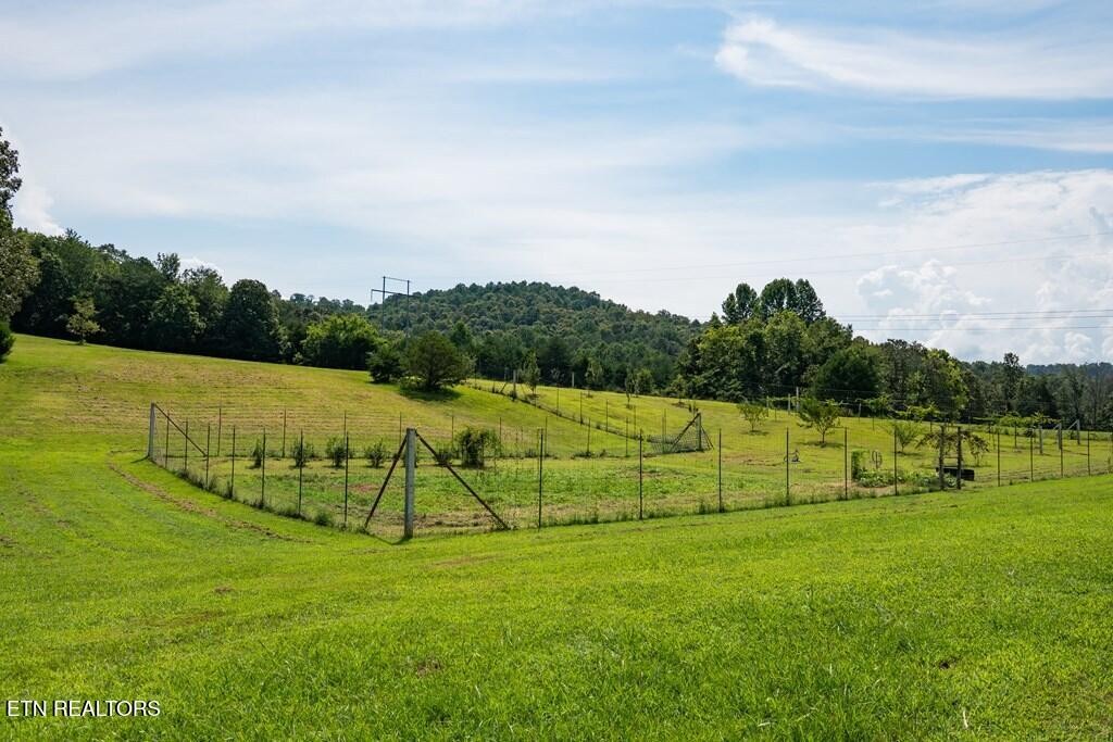 1518 Cummingsville And Sparkman Road Doyle, TN 38559 - Photo 47 of 58 a view of a green field with clear sky