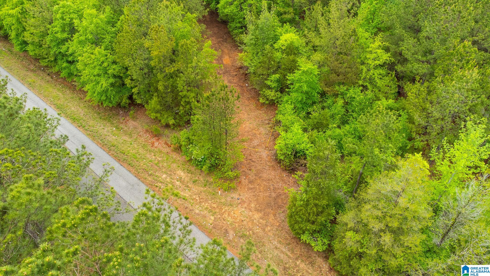 0 Cove Access Road, Unit 28 Talladega, AL 35160 - Photo 8 of 12