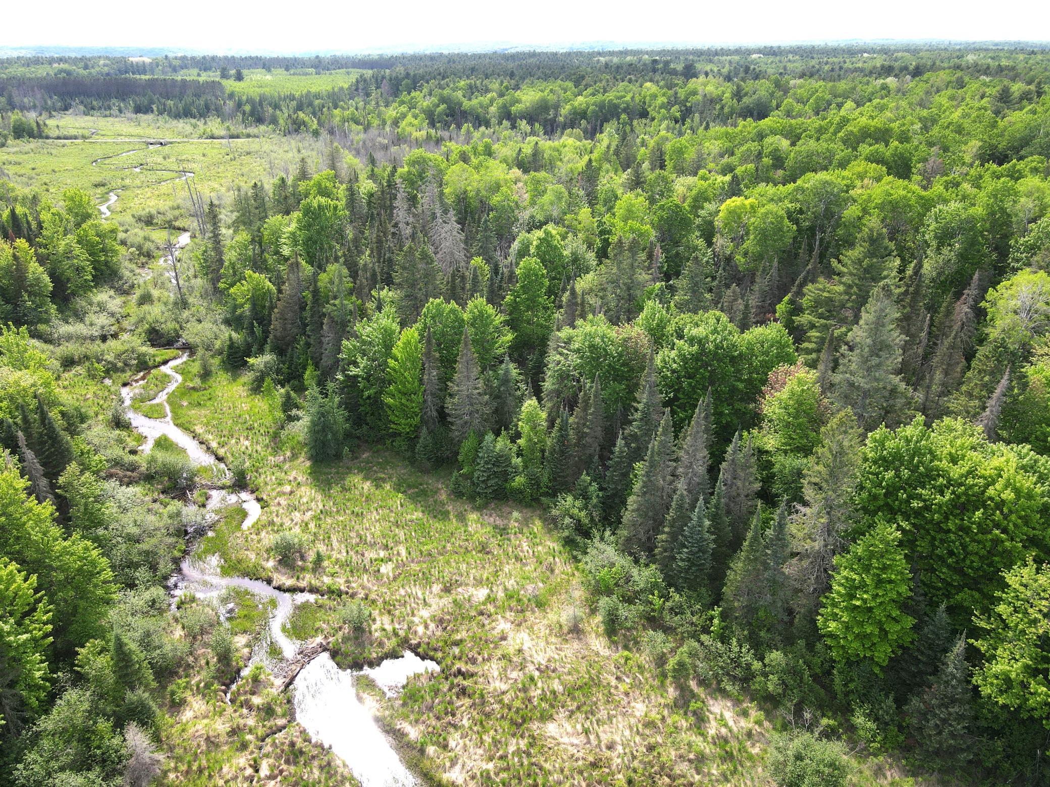Lot 1 Smith Road North Couderay, WI 54828 - Photo 13 of 29
