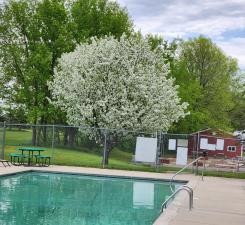2945 County Road 4 Southwest, Unit 65 Cokato, MN 55321 - Photo 1 of 18
