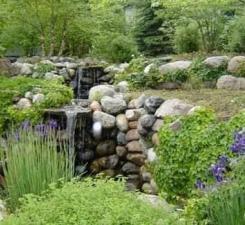 2945 County Road 4 Southwest, Unit 65 Cokato, MN 55321 - Photo 7 of 18
