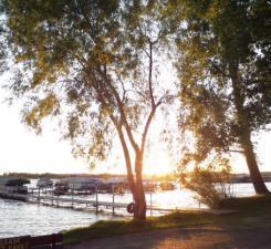 2945 County Road 4 Southwest, Unit 65 Cokato, MN 55321 - Photo 9 of 18