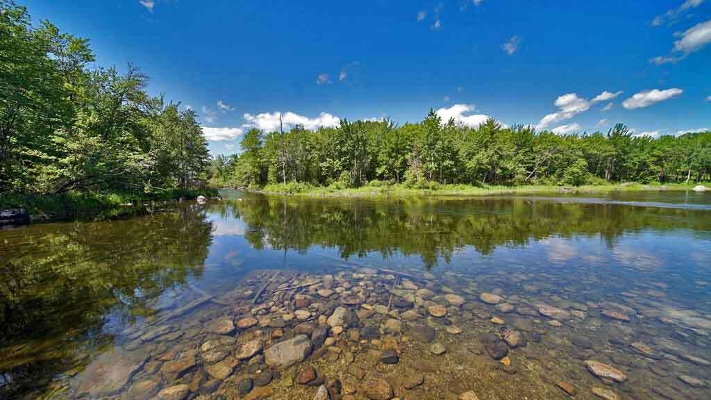 13 Grove Road Brookton, ME 04413 - Photo 118 of 122 st-croix-grand-lake-stream