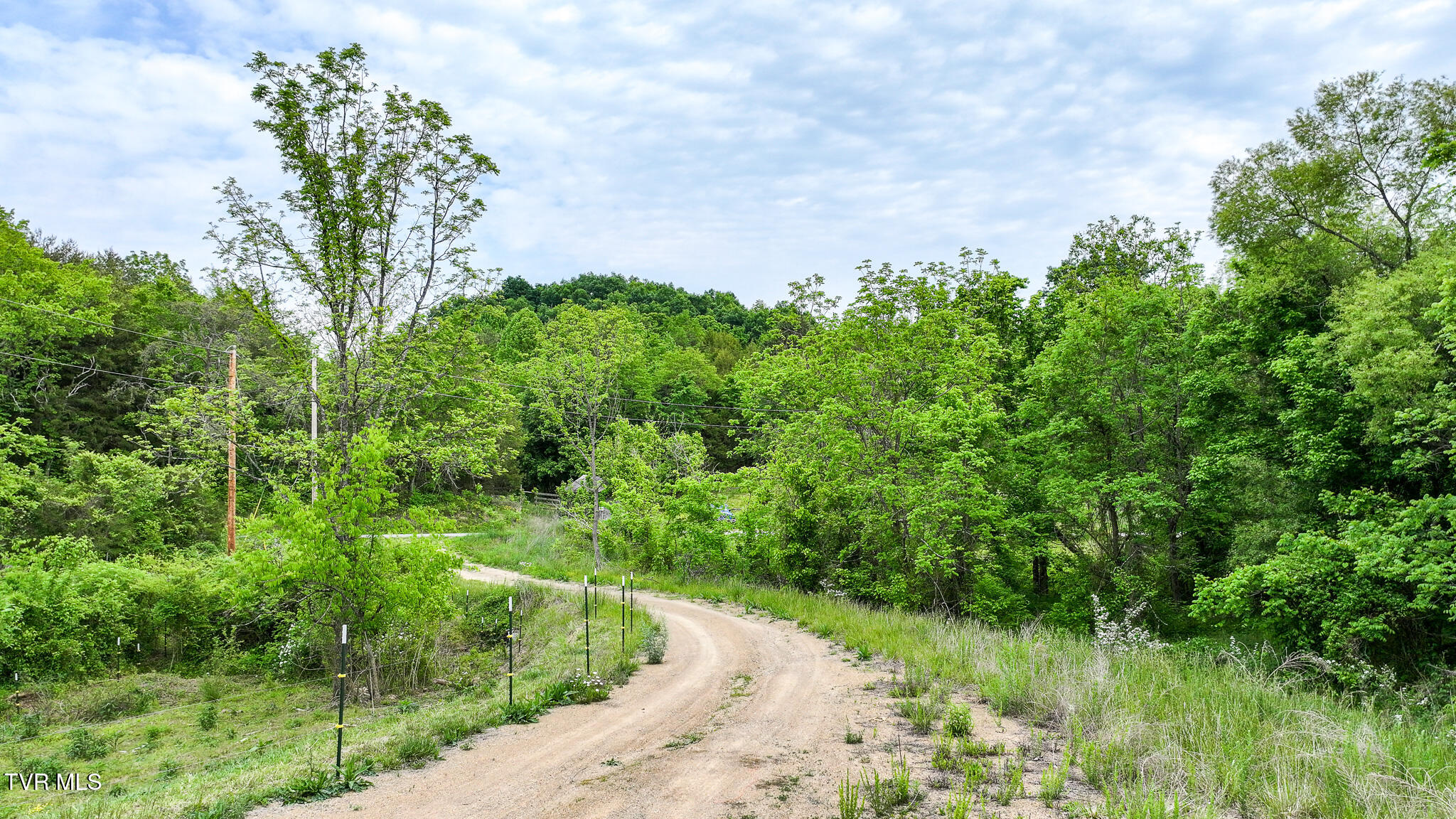 Lot 0 Hilldale Road Midway, TN 37809 - Photo 12 of 17 Land