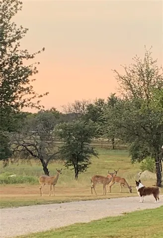 a view of a lake view