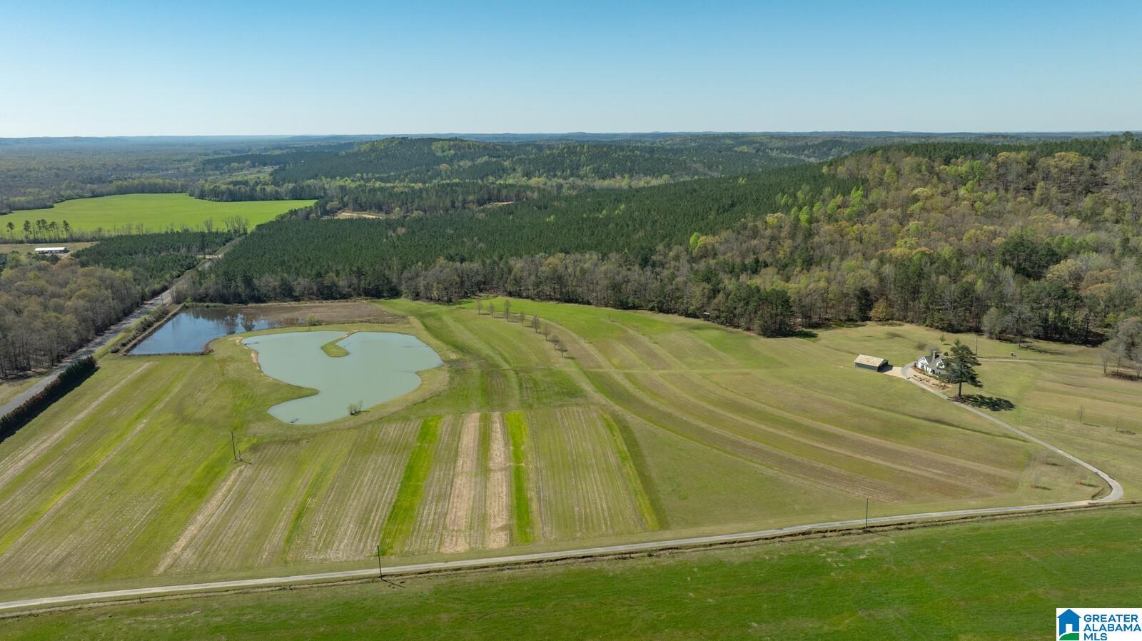 17616 Strickland Road Elrod, AL 35458 - Photo 1 of 34