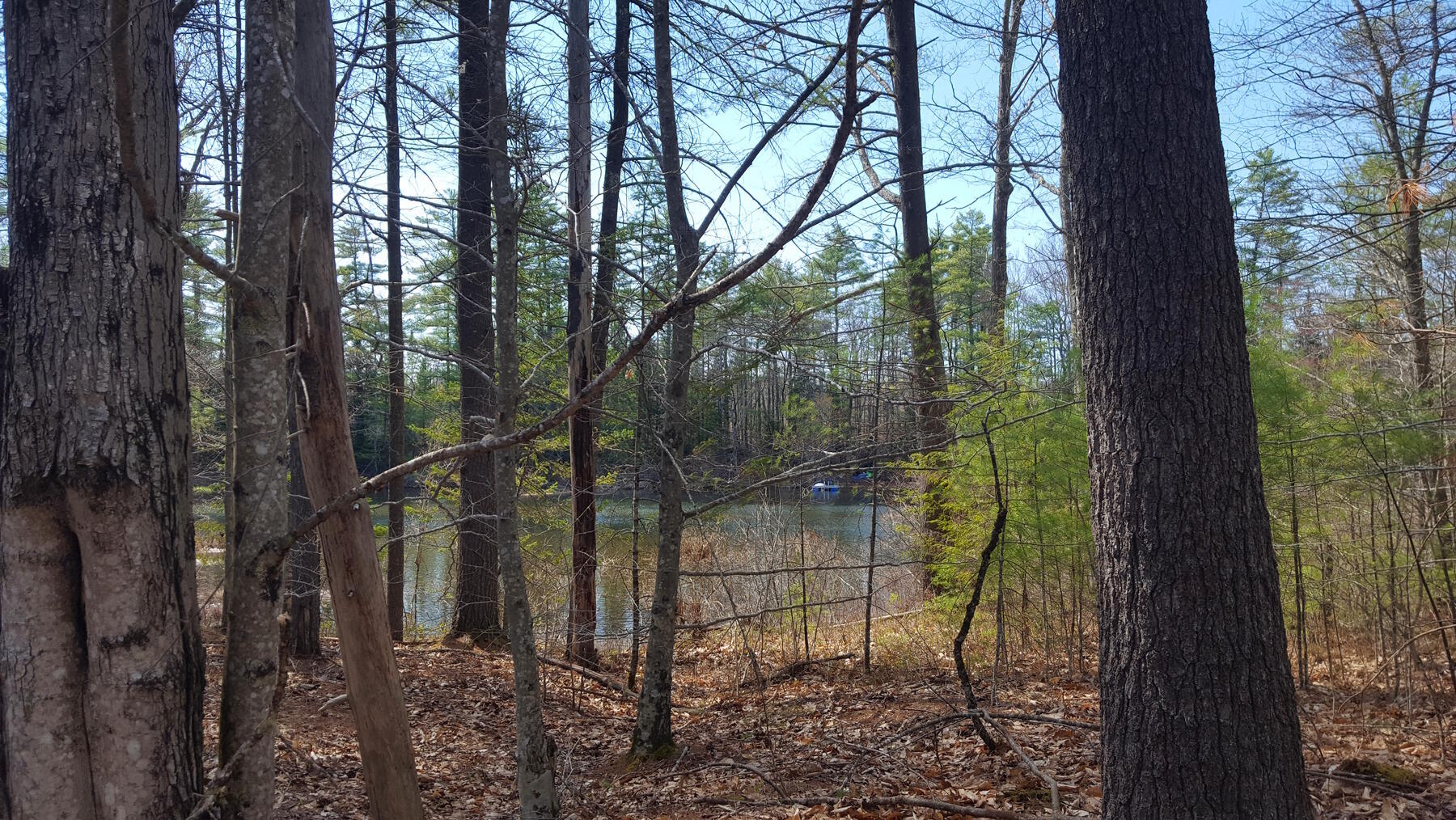 594 River Road Windham, ME 04062 - Photo 31 of 34