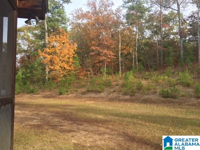 855 Reed Creek Drive Shelby, AL 35143 - Photo 8 of 14