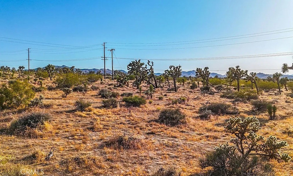 7645 La Contenta Road Yucca Valley, CA 92284 - Photo 11 of 14 a view of outdoor space and yard