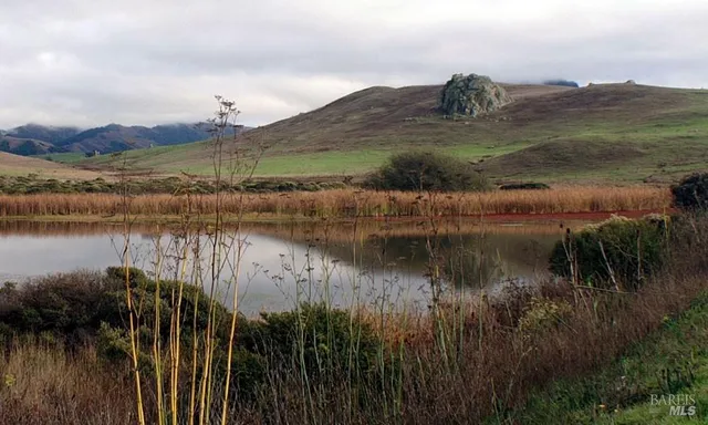 $11,800,000 | Undisclosed Address, Nicasio, CA 94946