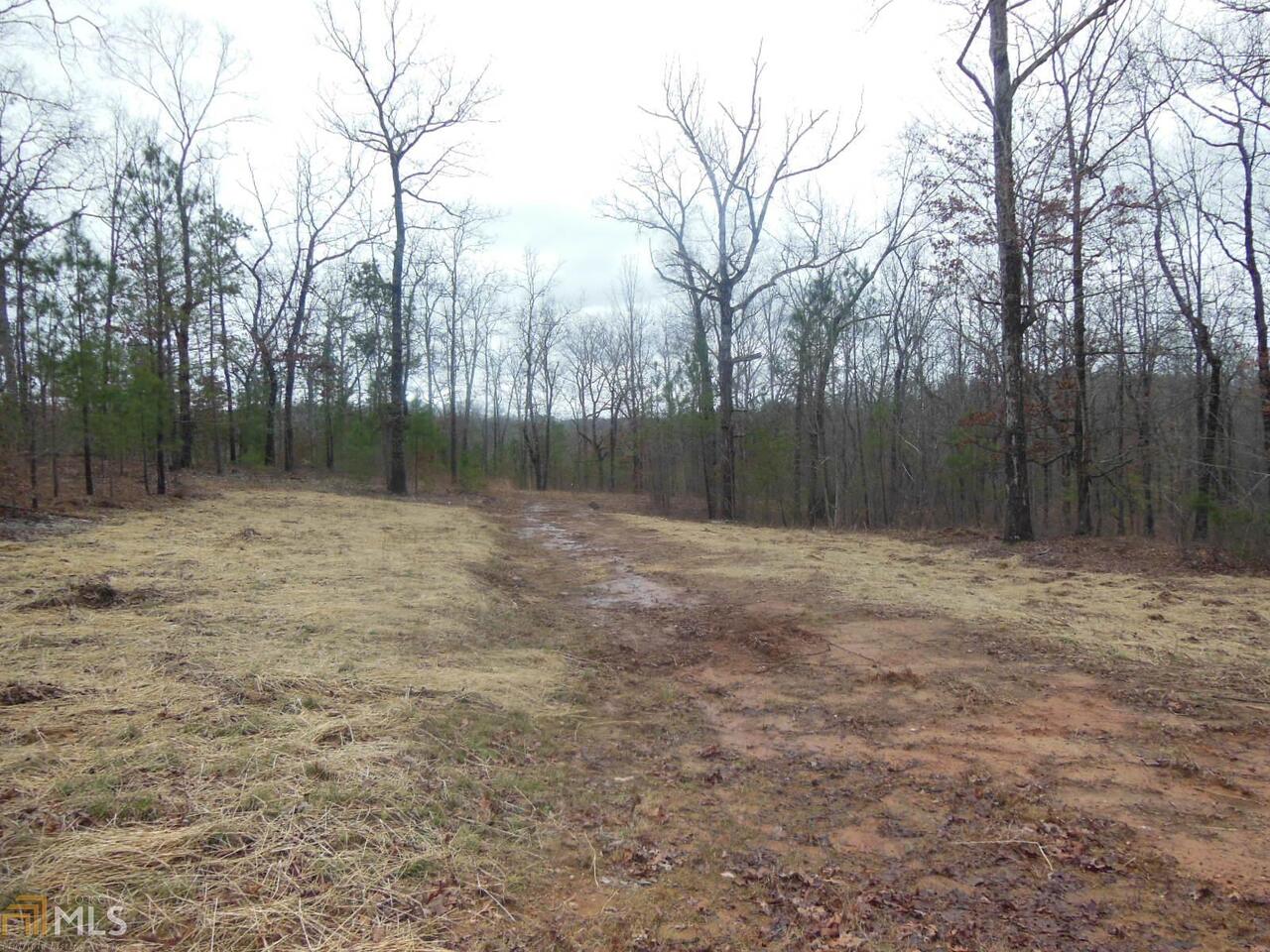 0 Currahee Ridge Road, Unit 28C 28D 29 Toccoa, GA 30577 - Photo 1 of 1 Gallery Image 1