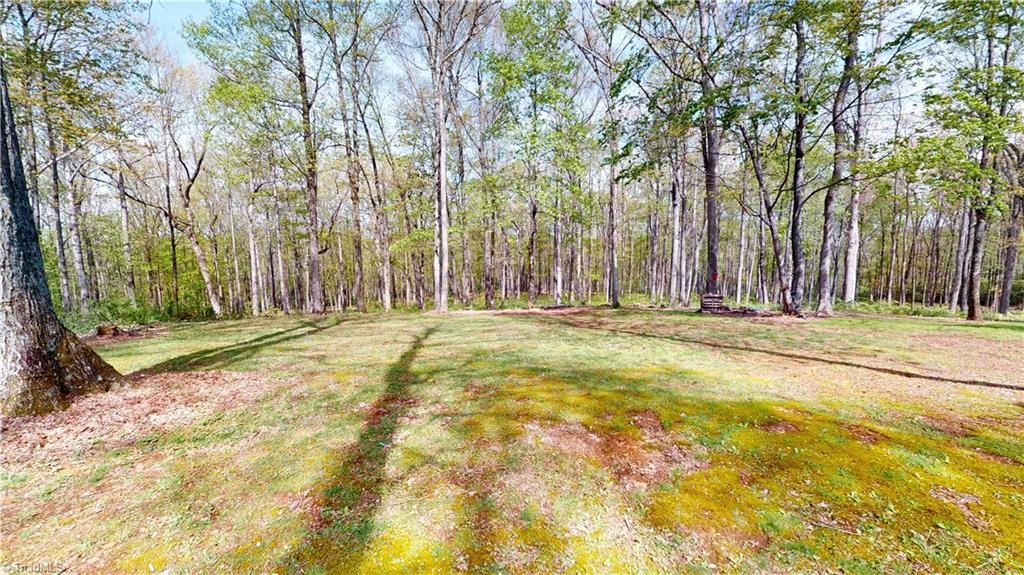 176 Alpine Crest Road Fancy Gap, VA 24328 - Photo 5 of 30 Gallery Image 5