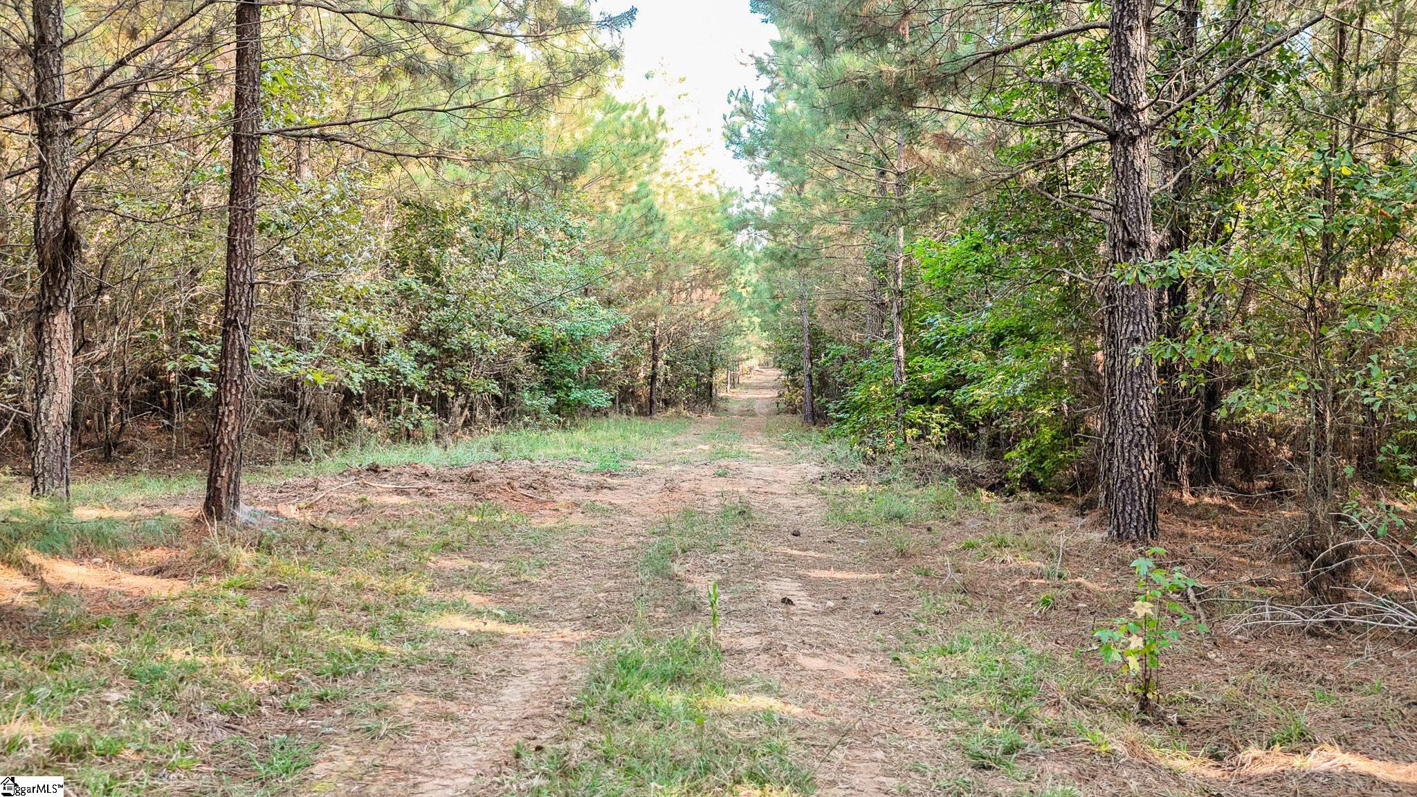 0 Garlington Road Mountville, SC 29370 - Photo 15 of 27 Gallery Image 15