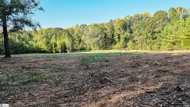 $700,000 | 0 Garlington Road, Mountville, SC 29370