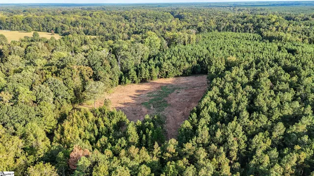 $700,000 | 0 Garlington Road, Mountville, SC 29370