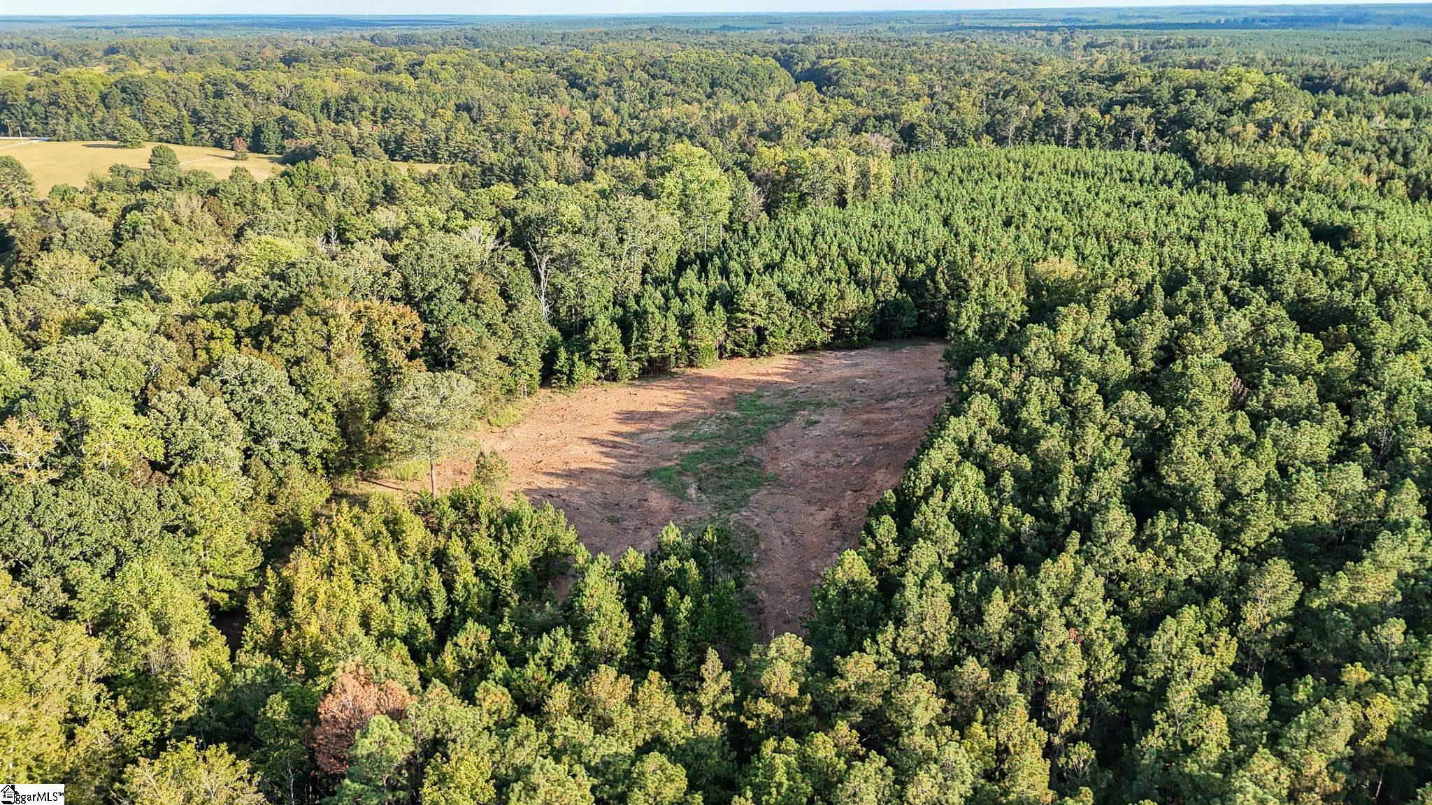 0 Garlington Road Mountville, SC 29370 - Photo 18 of 27 Gallery Image 18
