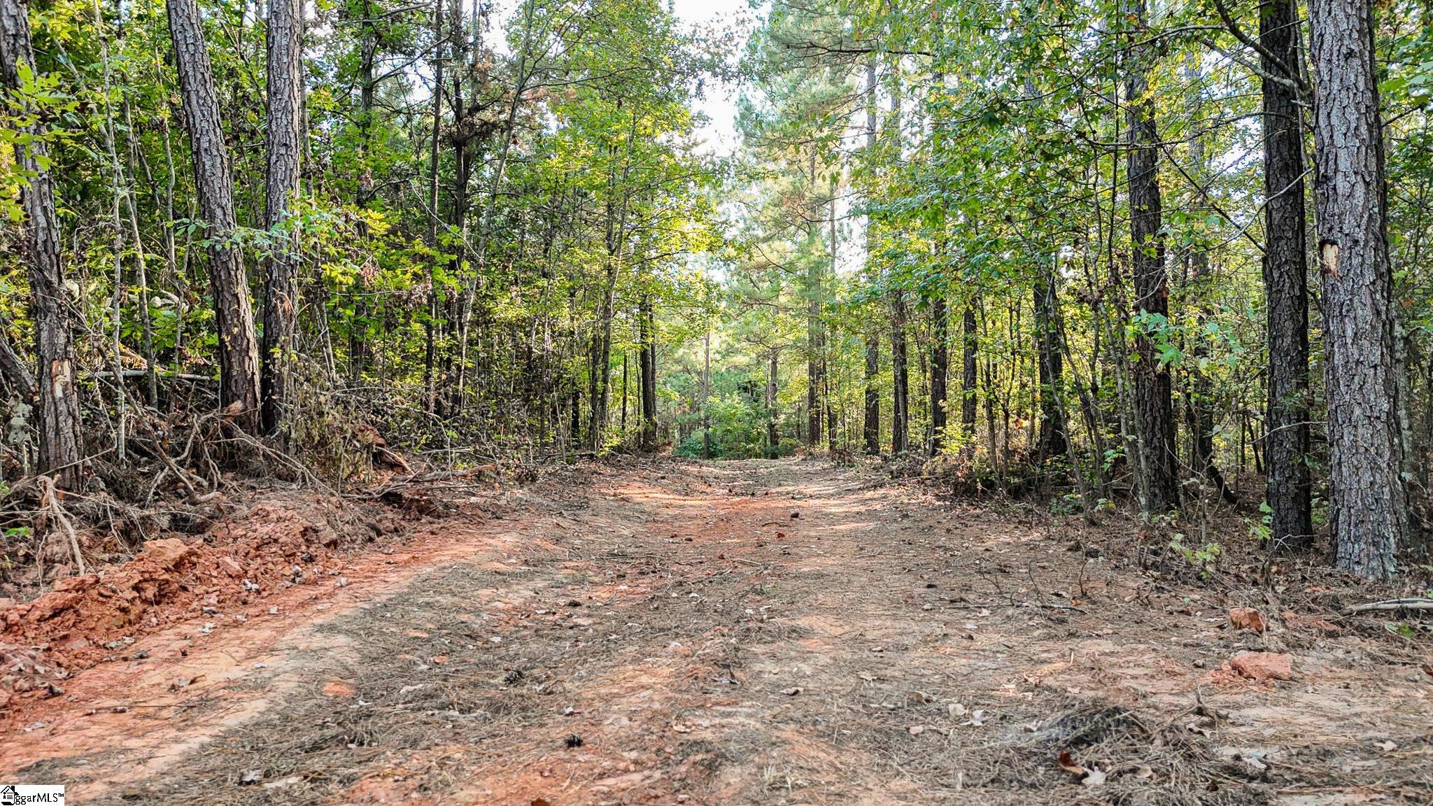 0 Garlington Road Mountville, SC 29370 - Photo 5 of 27 Gallery Image 5