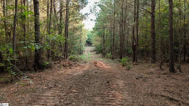 $700,000 | 0 Garlington Road, Mountville, SC 29370