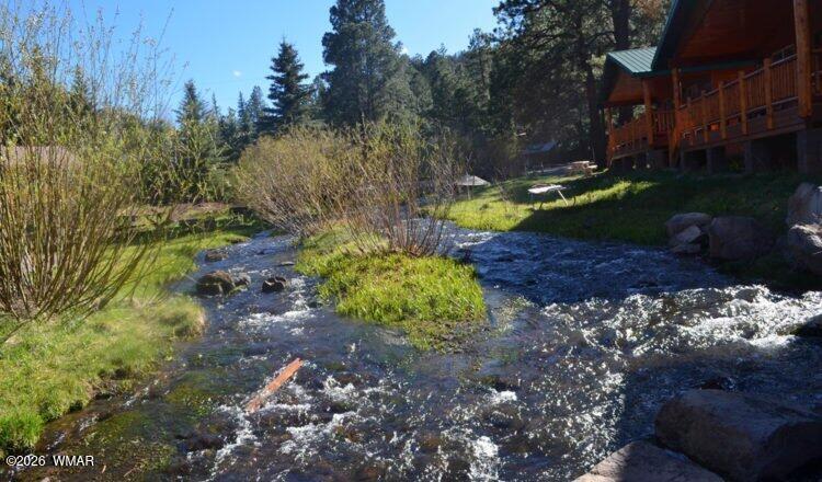 95 Rohrer Road Greer, AZ 85927 - Photo 14 of 17 RIVER 1