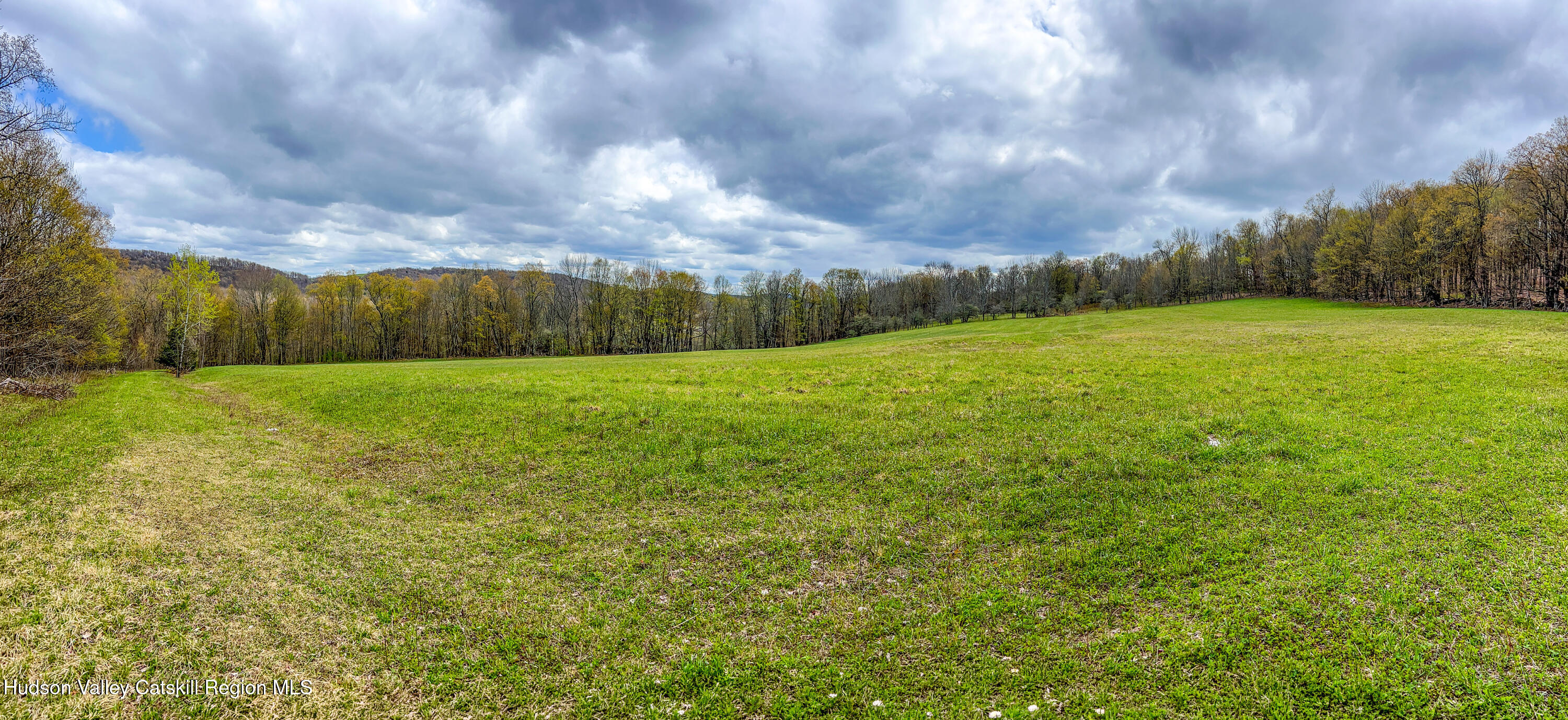 0 Brownell Road Bloomville, NY 13739 - Photo 14 of 39 23 acres Brownell Rd -- 012