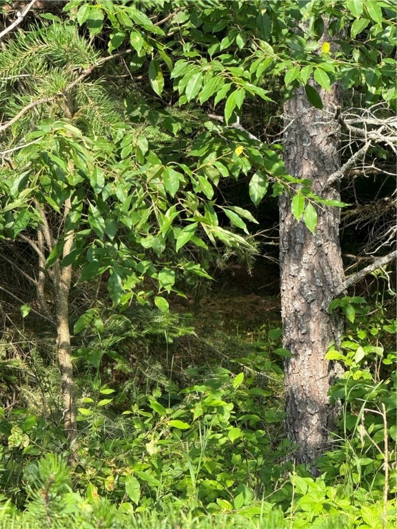 0 Tagalder Trail Hayward, WI 54843 - Photo 5 of 23