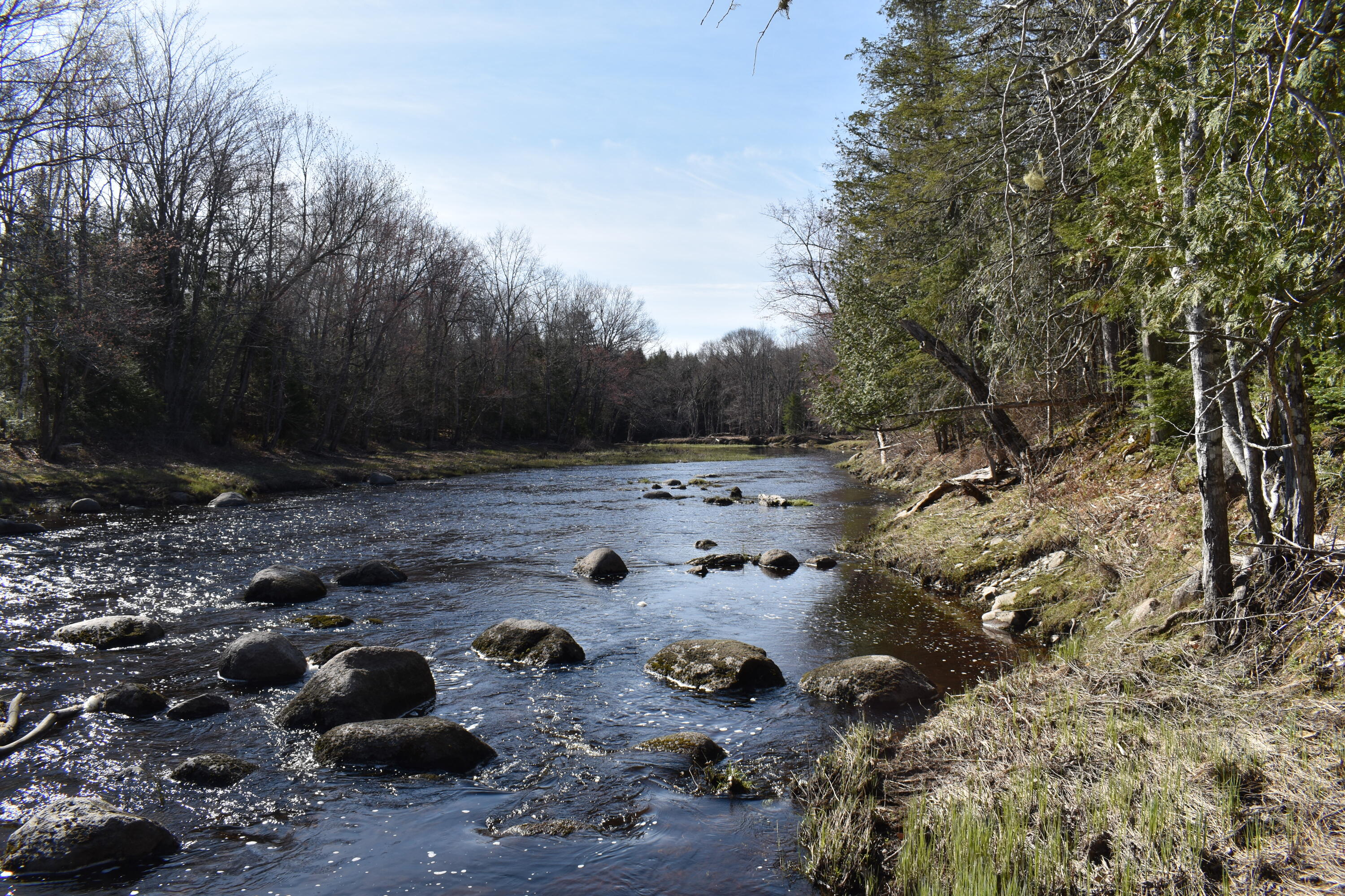 15 Loop Road Lincoln, ME 04457 - Photo 41 of 51 DSC_0127