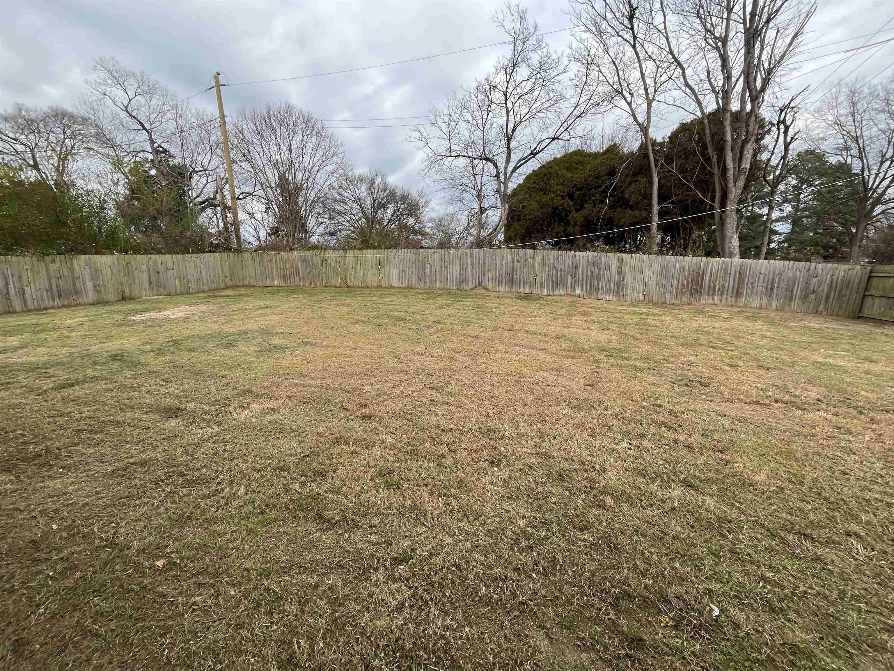 4020 Chippewa Road Memphis, TN 38118 - Photo 4 of 16 Gallery Image 4