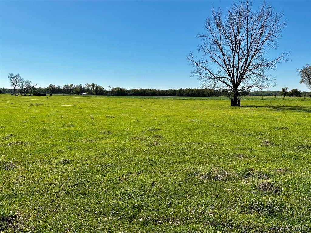 2.49-acres Ramer Loop Cottonwood, AL 36320 - Photo 8 of 8 Gallery Image 8