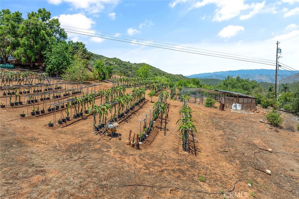 1996 Rainbow Glen Fallbrook, CA 92028 - Photo 11 of 55 a view of a lake with a mountain