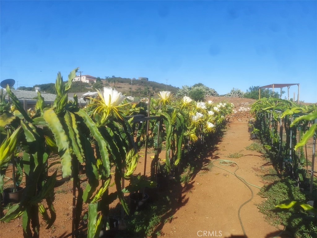 1996 Rainbow Glen Fallbrook, CA 92028 - Photo 17 of 55 a view of lake