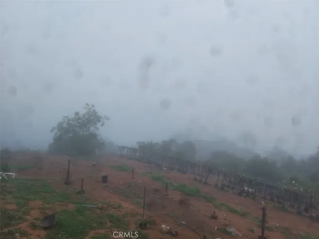 a house with trees in the background
