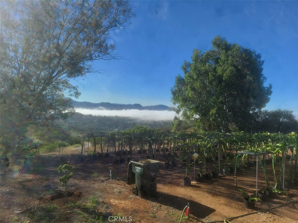 1996 Rainbow Glen Fallbrook, CA 92028 - Photo 20 of 55 a view of a lake with a yard