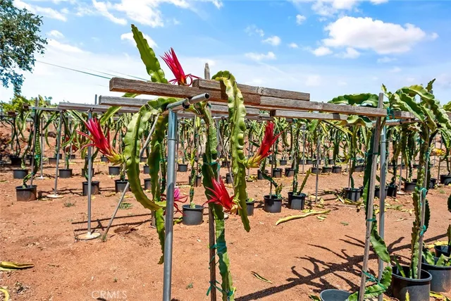 a view of a lake with mountains in the background