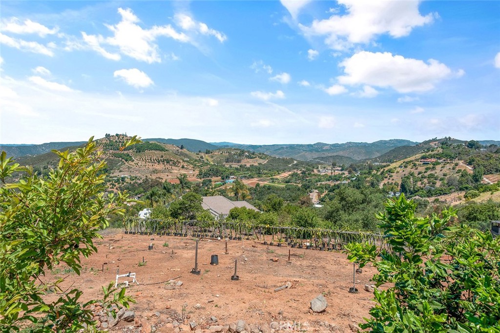 1996 Rainbow Glen Fallbrook, CA 92028 - Photo 41 of 55 a view of a city