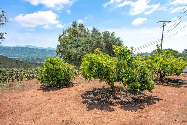 $1,250,000 | 1996 Rainbow Glen, Fallbrook, CA 92028