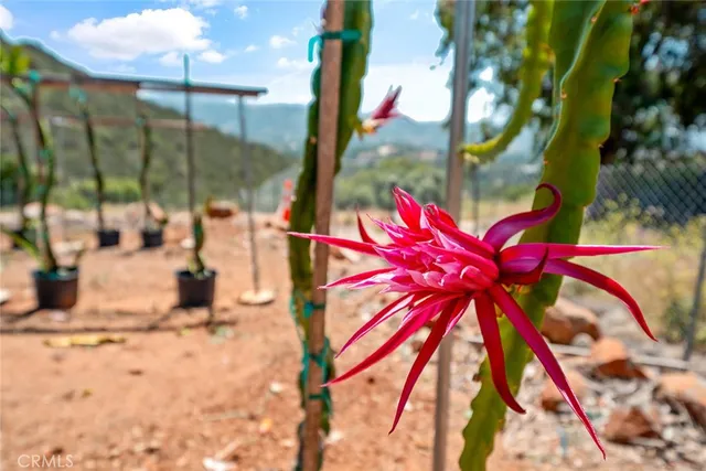 $1,250,000 | 1996 Rainbow Glen, Fallbrook, CA 92028