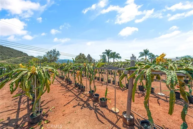 $1,250,000 | 1996 Rainbow Glen, Fallbrook, CA 92028