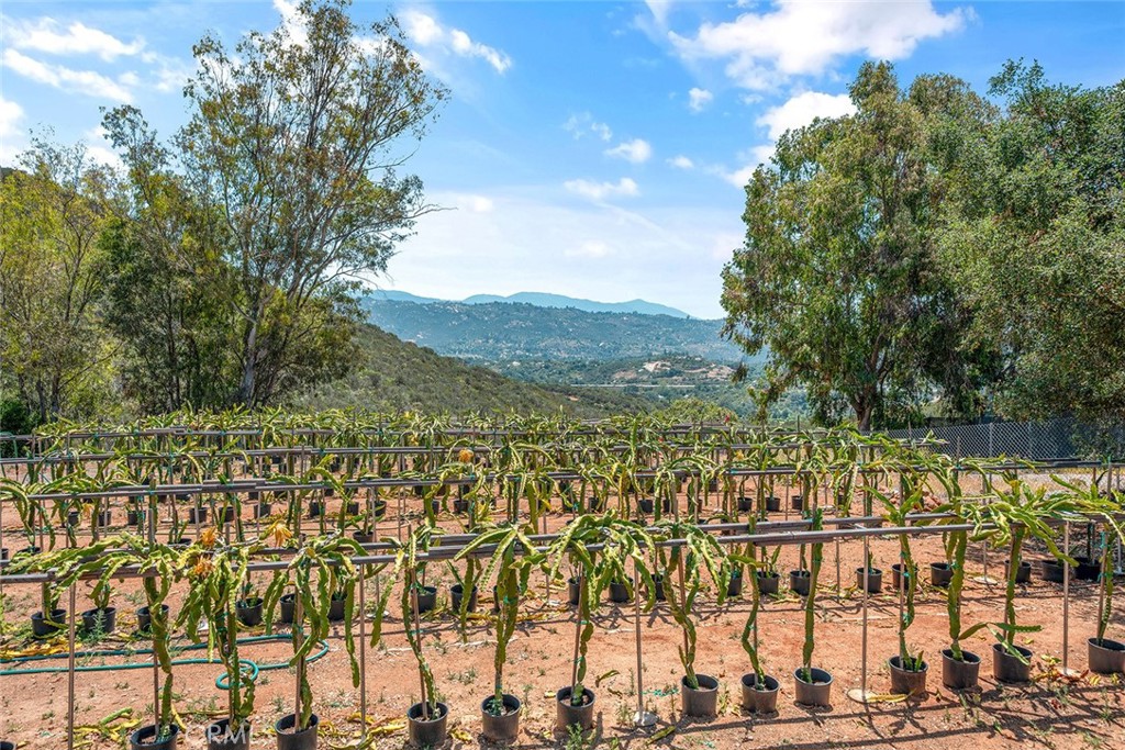 1996 Rainbow Glen Fallbrook, CA 92028 - Photo 8 of 55